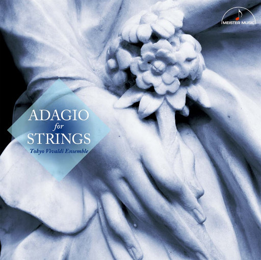 GTA5美女被❌裸体
